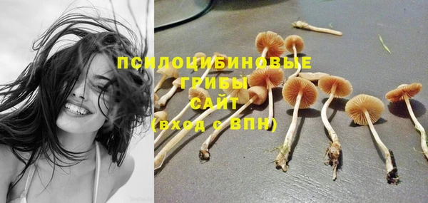 крисы Медногорск