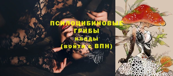 стаф Киреевск