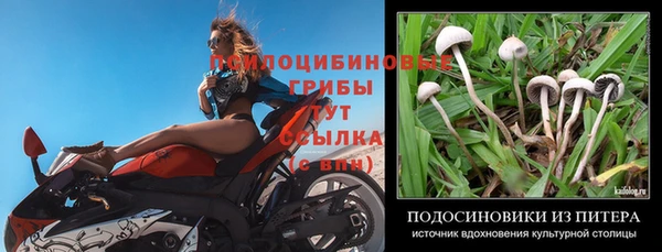 мдпв Кинешма